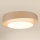 Brilagi - LED Aptumšojama griestu lampa DOVER SHINE LED/24W/230V 3000/4000/6500K pelēka/krēmkrāsa + tālvadības pults
