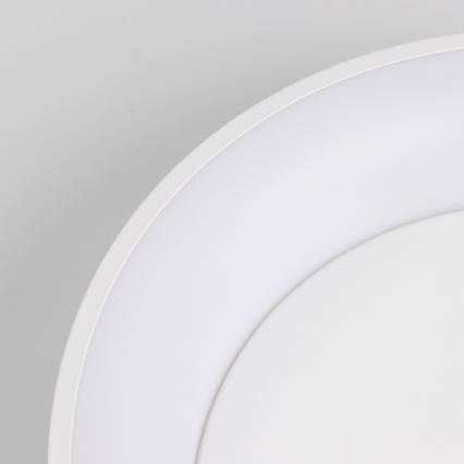 Brilagi - LED Aptumšojama griestu lampa FALCON LED/40W/230V 3000-6500K d. 45 cm balta + tāvadības pults