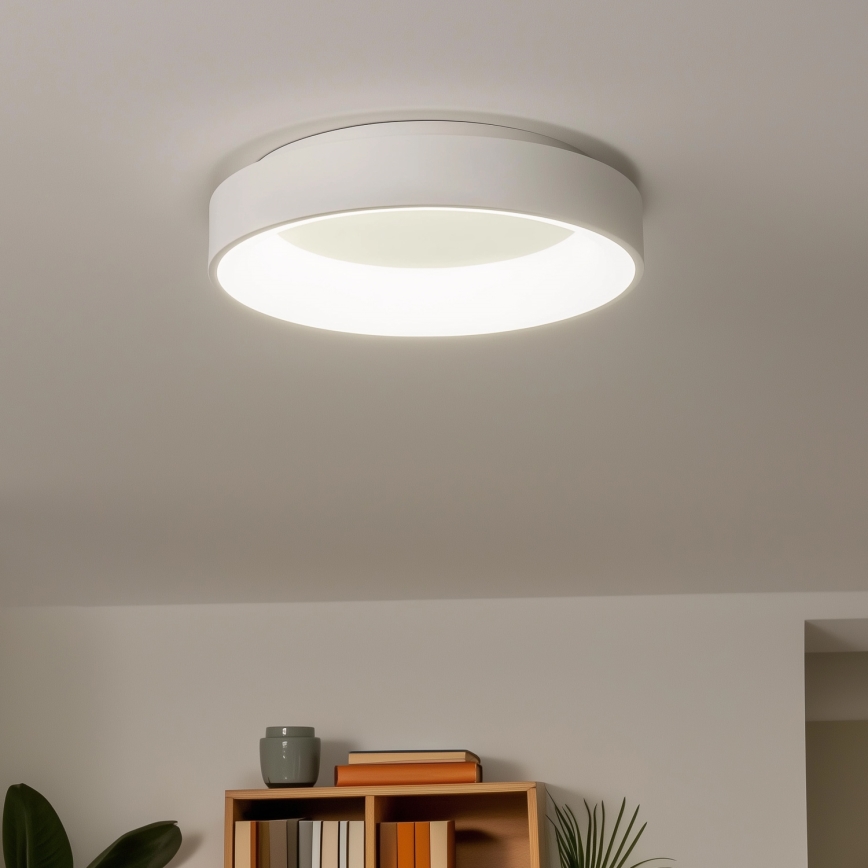 Brilagi - LED Aptumšojama griestu lampa FALCON LED/80W/230V 3000-6500K d. 60 cm balta + tālvadības pults