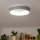 Brilagi - LED Aptumšojama griestu lampa FALCON LED/80W/230V 3000-6500K d. 60 cm pelēka + tālvadības pults