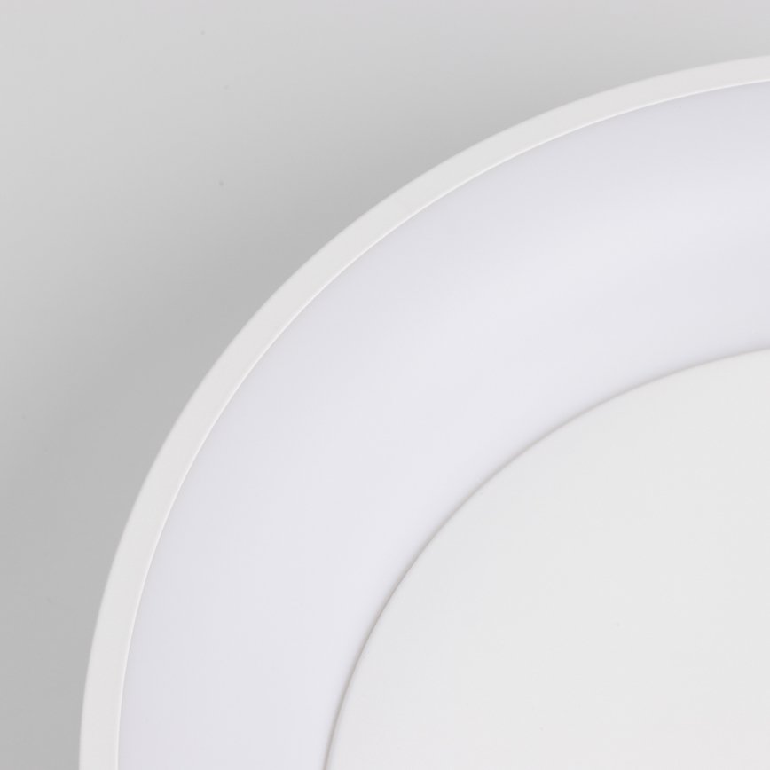 Brilagi - LED Aptumšojama griestu lampa FALCON LED/80W/230V 3000-6500K d. 60 cm balta + tālvadības pults
