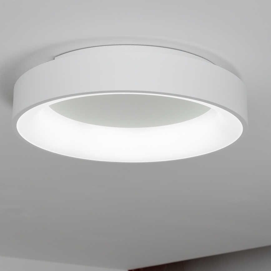 Brilagi - LED Aptumšojama griestu lampa FALCON LED/80W/230V 3000-6500K d. 60 cm balta + tālvadības pults