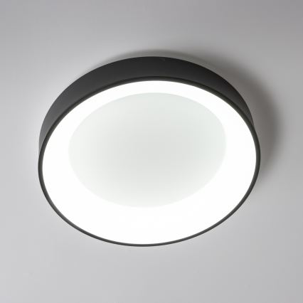 Brilagi - LED Aptumšojama griestu lampa FALCON LED/80W/230V 3000-6500K d. 60 cm melna + tālvadības pults
