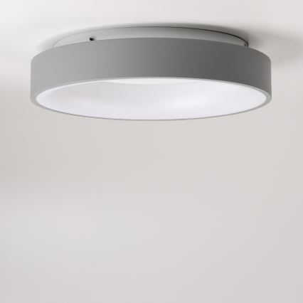 Brilagi - LED Aptumšojama griestu lampa FALCON LED/80W/230V 3000-6500K d. 60 cm pelēka + tālvadības pults