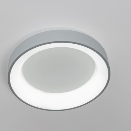 Brilagi - LED Aptumšojama griestu lampa FALCON LED/80W/230V 3000-6500K d. 60 cm pelēka + tālvadības pults