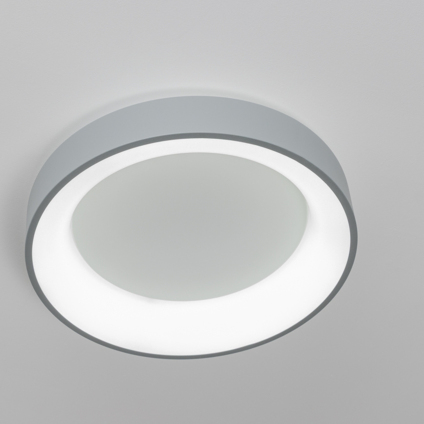 Brilagi - LED Aptumšojama griestu lampa FALCON LED/80W/230V 3000-6500K d. 60 cm pelēka + tālvadības pults