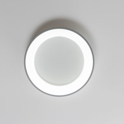 Brilagi - LED Aptumšojama griestu lampa FALCON LED/80W/230V 3000-6500K d. 60 cm pelēka + tālvadības pults