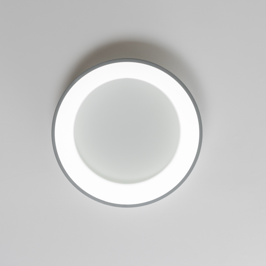 Brilagi - LED Aptumšojama griestu lampa FALCON LED/80W/230V 3000-6500K d. 60 cm pelēka + tālvadības pults