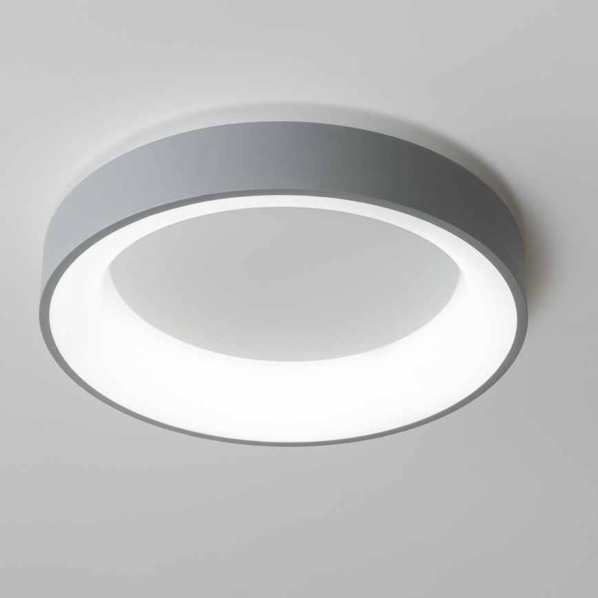 Brilagi - LED Aptumšojama griestu lampa FALCON LED/80W/230V 3000-6500K d. 60 cm pelēka + tālvadības pults