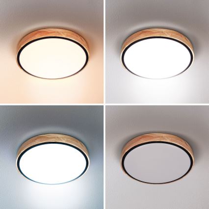 Brilagi - LED Aptumšojama griestu lampa GLORIA LED/48W/230V 3000-6500K ozols d. 40 cm + tālvadības pults