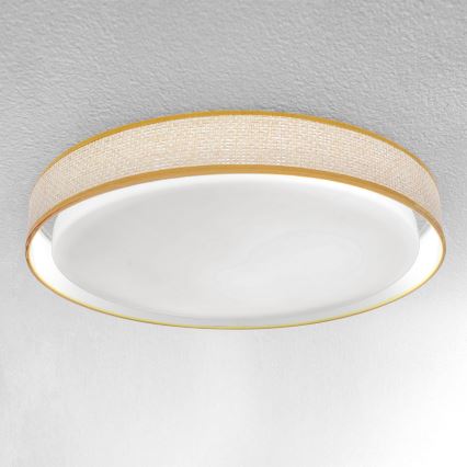 Brilagi - LED Aptumšojama griestu lampa KIANIA LED/48W/230V 3000-6500K d. 43 cm + tālvadības pults