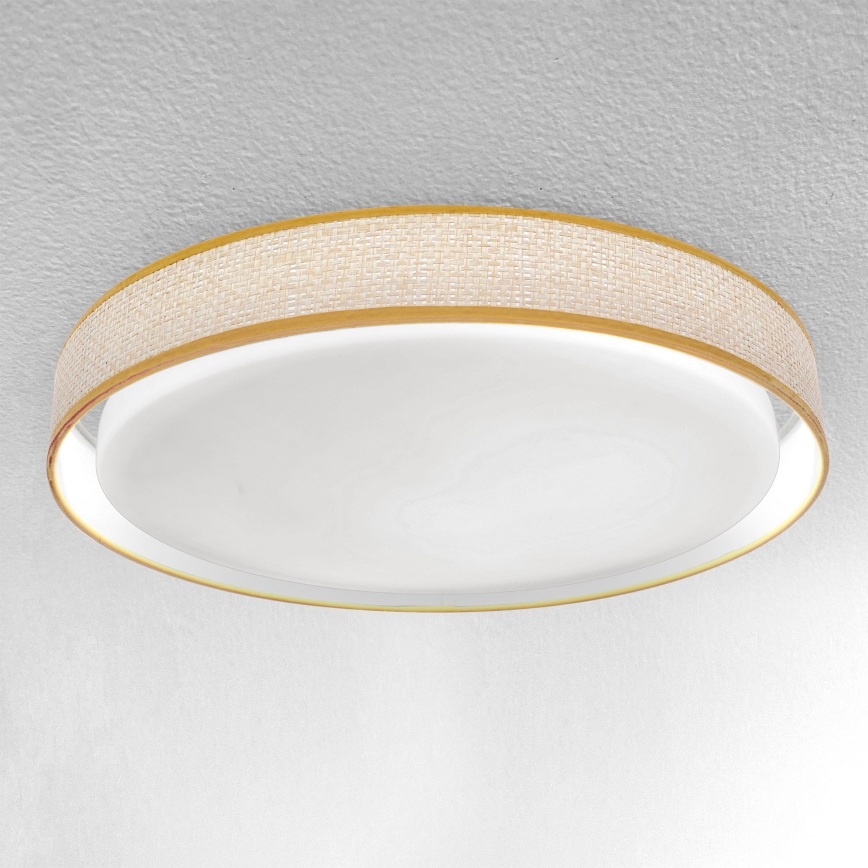 Brilagi - LED Aptumšojama griestu lampa KIANIA LED/48W/230V 3000-6500K d. 43 cm + tālvadības pults
