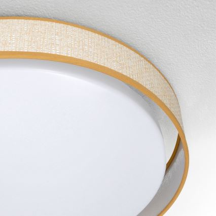 Brilagi - LED Aptumšojama griestu lampa KIANIA LED/48W/230V 3000-6500K d. 43 cm + tālvadības pults