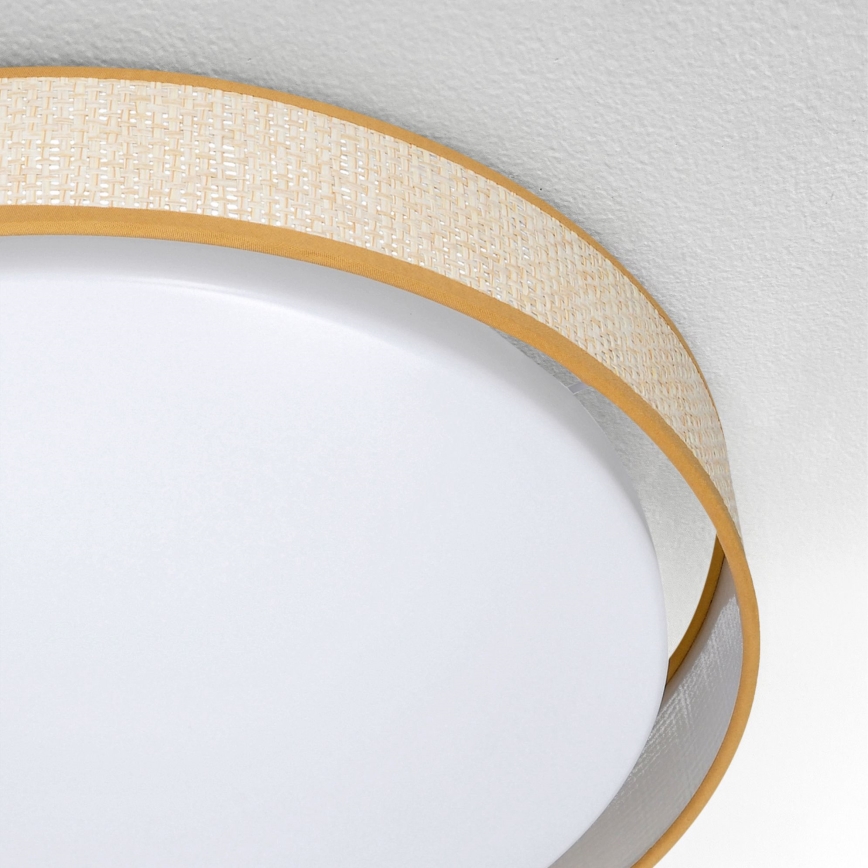 Brilagi - LED Aptumšojama griestu lampa KIANIA LED/48W/230V 3000-6500K d. 43 cm + tālvadības pults