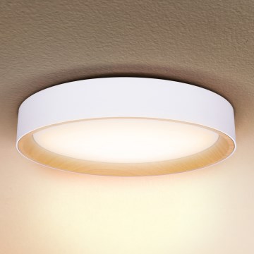 Brilagi - LED Aptumšojama griestu lampa LARIOS LED/48W/230V 3000-6500K ø 39 cm balta + tālvadības pults
