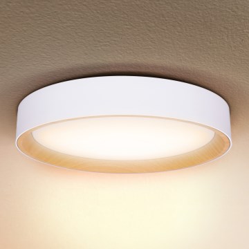 Brilagi - LED Aptumšojama griestu lampa LARIOS LED/60W/230V 3000-6500K ø 49 cm balta + tālvadības pults