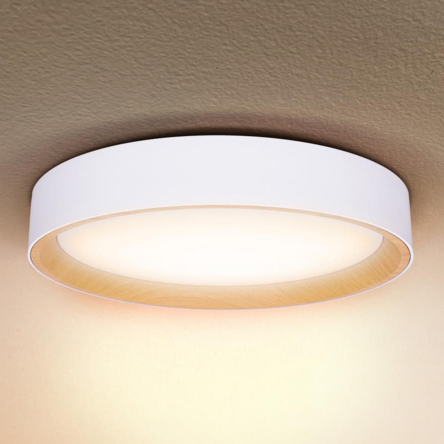 Brilagi - LED Aptumšojama griestu lampa LARIOS LED/60W/230V 3000-6500K ø 49 cm balta + tālvadības pults