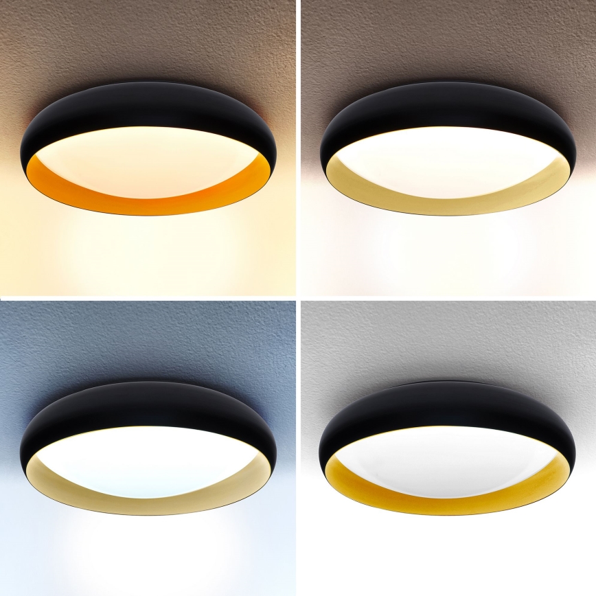 Brilagi - LED Aptumšojama griestu lampa LIVIA LED/48W/230V 3000-6500K d. 42 cm + tālvadības pults