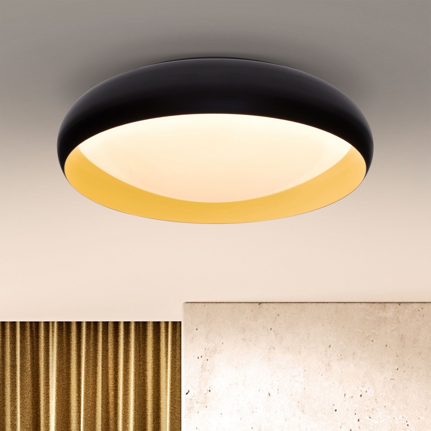 Brilagi - LED Aptumšojama griestu lampa LIVIA LED/48W/230V 3000-6500K d. 42 cm + tālvadības pults