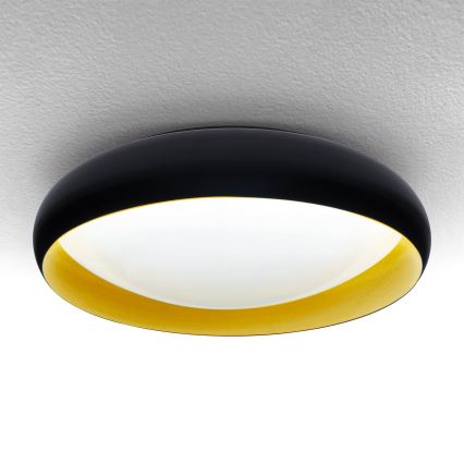 Brilagi - LED Aptumšojama griestu lampa LIVIA LED/48W/230V 3000-6500K d. 42 cm + tālvadības pults
