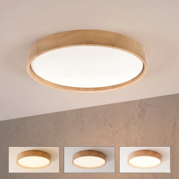 Brilagi - LED aptumšojama griestu lampa MANAROLA REMOTE LED/36W/230V 3000-6500K Ø 51 cm ozols + ar tālvadības pulti