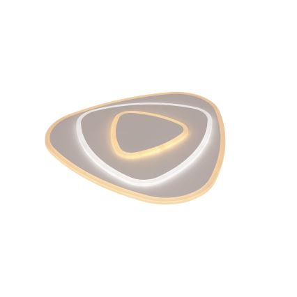 Brilagi - LED Aptumšojama griestu lampa MODERN LED/58W/230V 2700-6500K + tālvadības pults