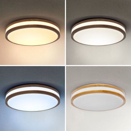 Brilagi - LED Aptumšojama griestu lampa MOLINA LED/48W/230V 3000-6500K ozolkoks d. 38 cm + tālvadības pults