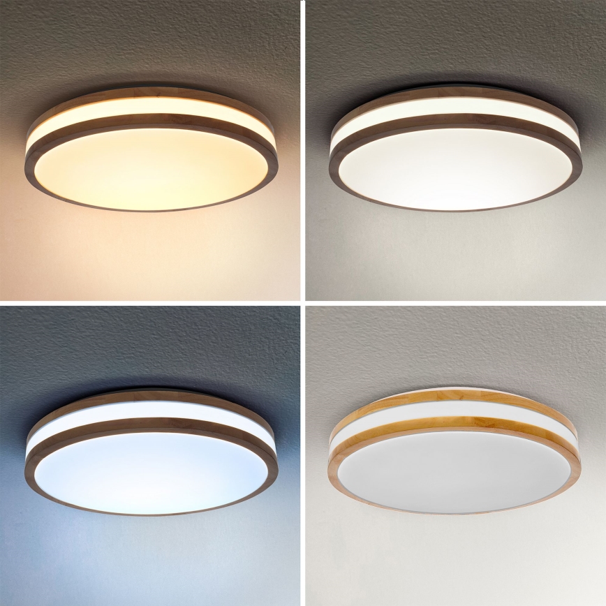 Brilagi - LED Aptumšojama griestu lampa MOLINA LED/48W/230V 3000-6500K ozolkoks d. 38 cm + tālvadības pults