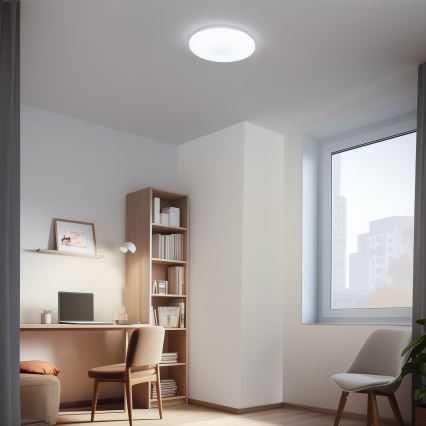 Brilagi - LED Aptumšojama griestu lampa OPAL LED/24W/230V  3000/4000/6500K + tālvadības pults