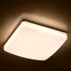 Brilagi - LED Aptumšojama griestu lampa OPAL LED/24W/230V 3000/4000/6500K + tālvadības pults