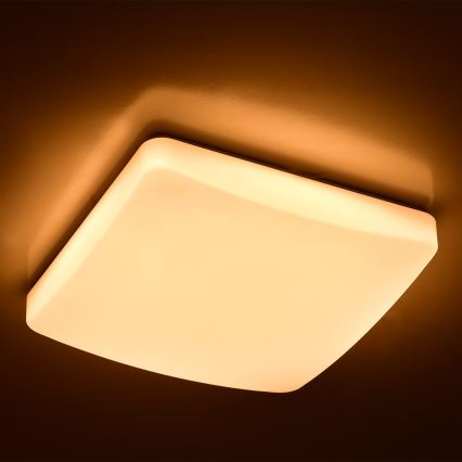 Brilagi - LED Aptumšojama griestu lampa OPAL LED/24W/230V 3000/4000/6500K + tālvadības pults