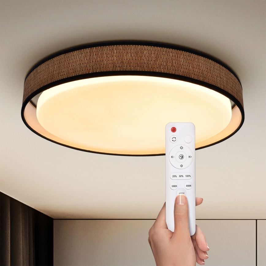 Brilagi - LED Aptumšojama griestu lampa PILAR LED/48W/230V 3000-6500K d. 43 cm + tālvadības pults