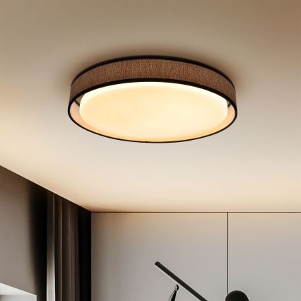Brilagi - LED Aptumšojama griestu lampa PILAR LED/48W/230V 3000-6500K d. 43 cm + tālvadības pults