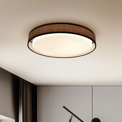 Brilagi - LED Aptumšojama griestu lampa PILAR LED/48W/230V 3000-6500K d. 43 cm + tālvadības pults