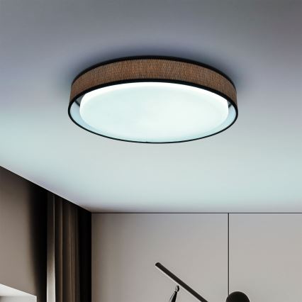 Brilagi - LED Aptumšojama griestu lampa PILAR LED/48W/230V 3000-6500K d. 43 cm + tālvadības pults