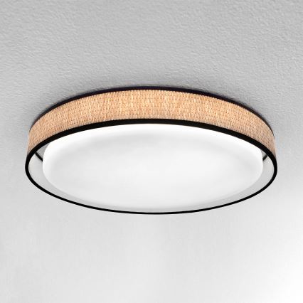 Brilagi - LED Aptumšojama griestu lampa PILAR LED/48W/230V 3000-6500K d. 43 cm + tālvadības pults