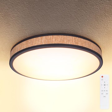 Brilagi - LED Aptumšojama griestu lampa ROSA LED/48W/230V 3000-6500K d. 38 cm + tālvadības pults
