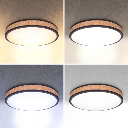 Brilagi - LED Aptumšojama griestu lampa ROSA LED/48W/230V 3000-6500K d. 38 cm + tālvadības pults