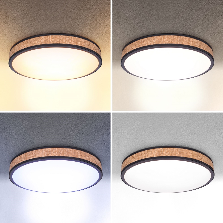 Brilagi - LED Aptumšojama griestu lampa ROSA LED/48W/230V 3000-6500K d. 38 cm + tālvadības pults