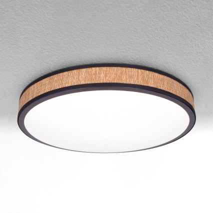 Brilagi - LED Aptumšojama griestu lampa ROSA LED/48W/230V 3000-6500K d. 38 cm + tālvadības pults