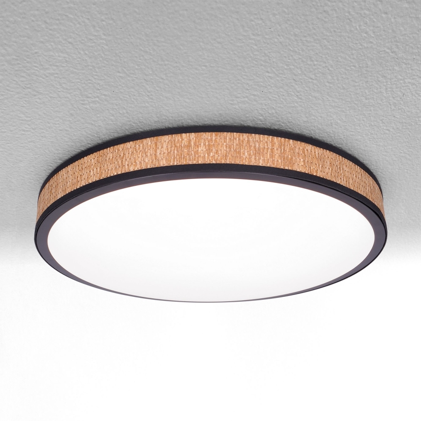 Brilagi - LED Aptumšojama griestu lampa ROSA LED/48W/230V 3000-6500K d. 38 cm + tālvadības pults