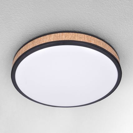Brilagi - LED Aptumšojama griestu lampa ROSA LED/48W/230V 3000-6500K d. 38 cm + tālvadības pults