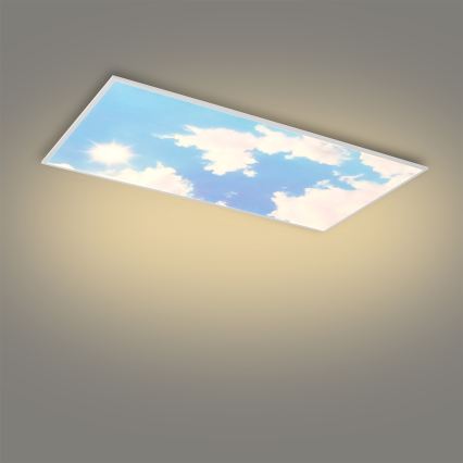 Brilagi - LED dimējams griestu gaismeklis SLIMFRAME LED/80W/230V 120x60 cm 3000-6000K sudraba/zila + tālvadības pults