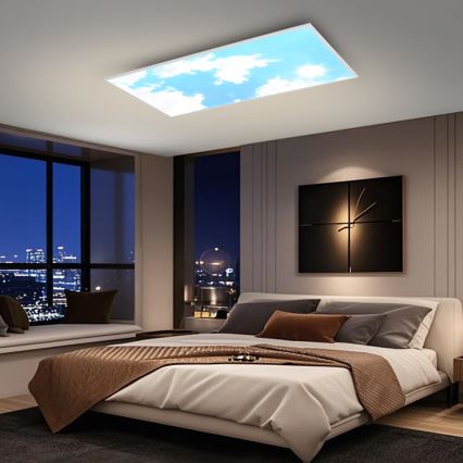 Brilagi - LED dimējams griestu gaismeklis SLIMFRAME LED/80W/230V 120x60 cm 3000-6000K sudraba/zila + tālvadības pults