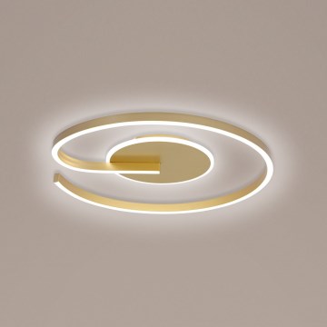 Brilagi -LED Aptumšojama griestu lampa SPIRAL LED/56W/230V 3000/4000/6000K+ tālvadības pults