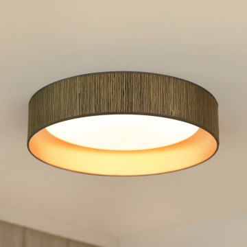 Brilagi - LED Aptumšojama griestu lampa VEGAS SHINE LED/24W/230V 3000/4000/6500K salmi brūna/zelta + tālvadības pults