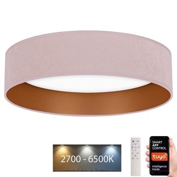 Brilagi - LED Aptumšojama griestu lampa VELVET SMART LED/24W/230V d. 45 cm 2700-6500K Wi-Fi Tuya rozā/zelta + tālvadības pults