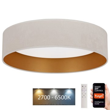 Brilagi - LED Aptumšojama griestu lampa VELVET SMART LED/24W/230V d. 45 cm 2700-6500K Wi-Fi Tuya + tālvadības pults