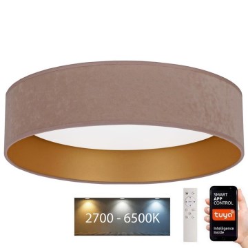 Brilagi - LED Aptumšojama griestu lampa VELVET SMART LED/36W/230V d. 55 cm 2700-6500K Wi-Fi Tuya bēša/zelta + tālvadības pults