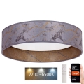 Brilagi - LED Aptumšojama griestu lampa VELVET SMART LED/36W/230V d. 55 cm 2700-6500K Wi-Fi Tuya pelēka/zelta + tālvadības pults